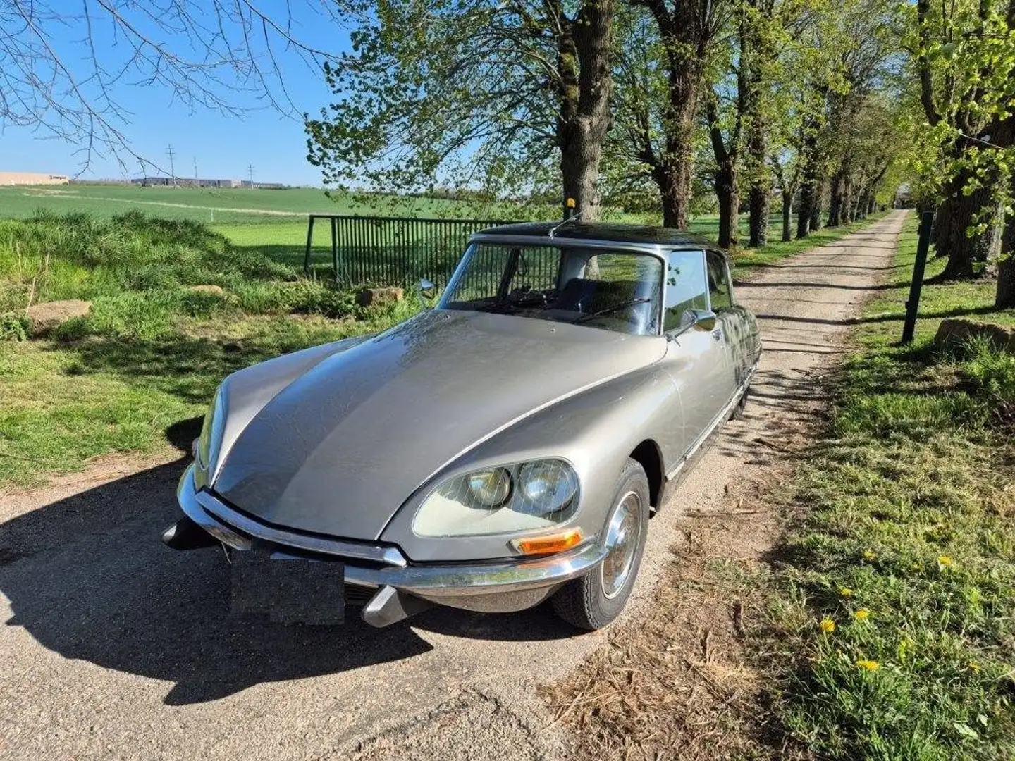 Citroen DS 23 Сірий - 1
