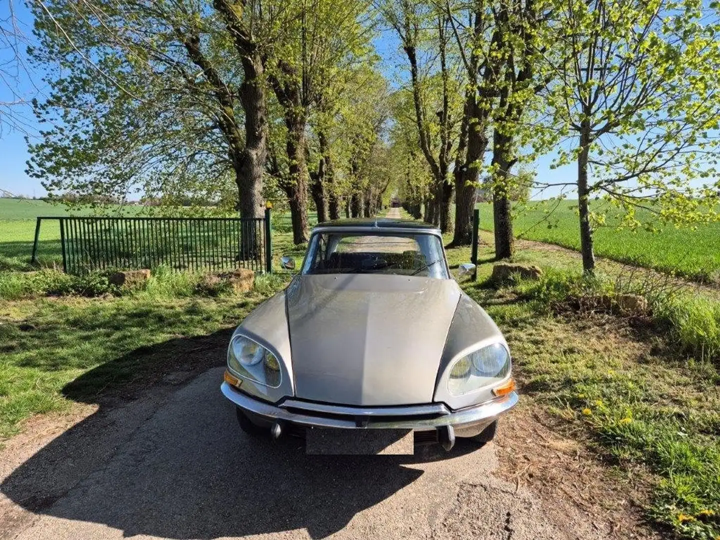 Citroen DS 23 Сірий - 2