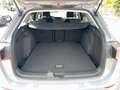 Volkswagen Golf Variant TSi Sport-Komfortsitze/ Harman Kardon Matrix ACC F Grau - thumbnail 18