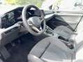 Volkswagen Golf Variant TSi Sport-Komfortsitze/ Harman Kardon Matrix ACC F Grau - thumbnail 10