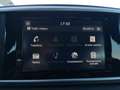 Kia Sportage 1.6 ecogpl Business Class 2wd 126cv Grigio - thumbnail 13