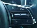 Kia Sportage 1.6 ecogpl Business Class 2wd 126cv Gris - thumbnail 17