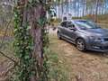 Volkswagen Polo Polo Highline 1,6 TDI DPF Highline Grau - thumbnail 17