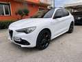Alfa Romeo Stelvio 2.2 Turbodiesel 210CV Q4 Veloce **TETTO APRIBILE** Blanc - thumbnail 2