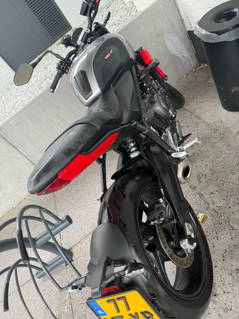 Triumph Trident 660 Gri - 2