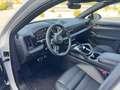 Porsche Cayenne Cayenne Coupé E-Hybrid Black Edition Aut. Black Edition Blanco - thumbnail 11