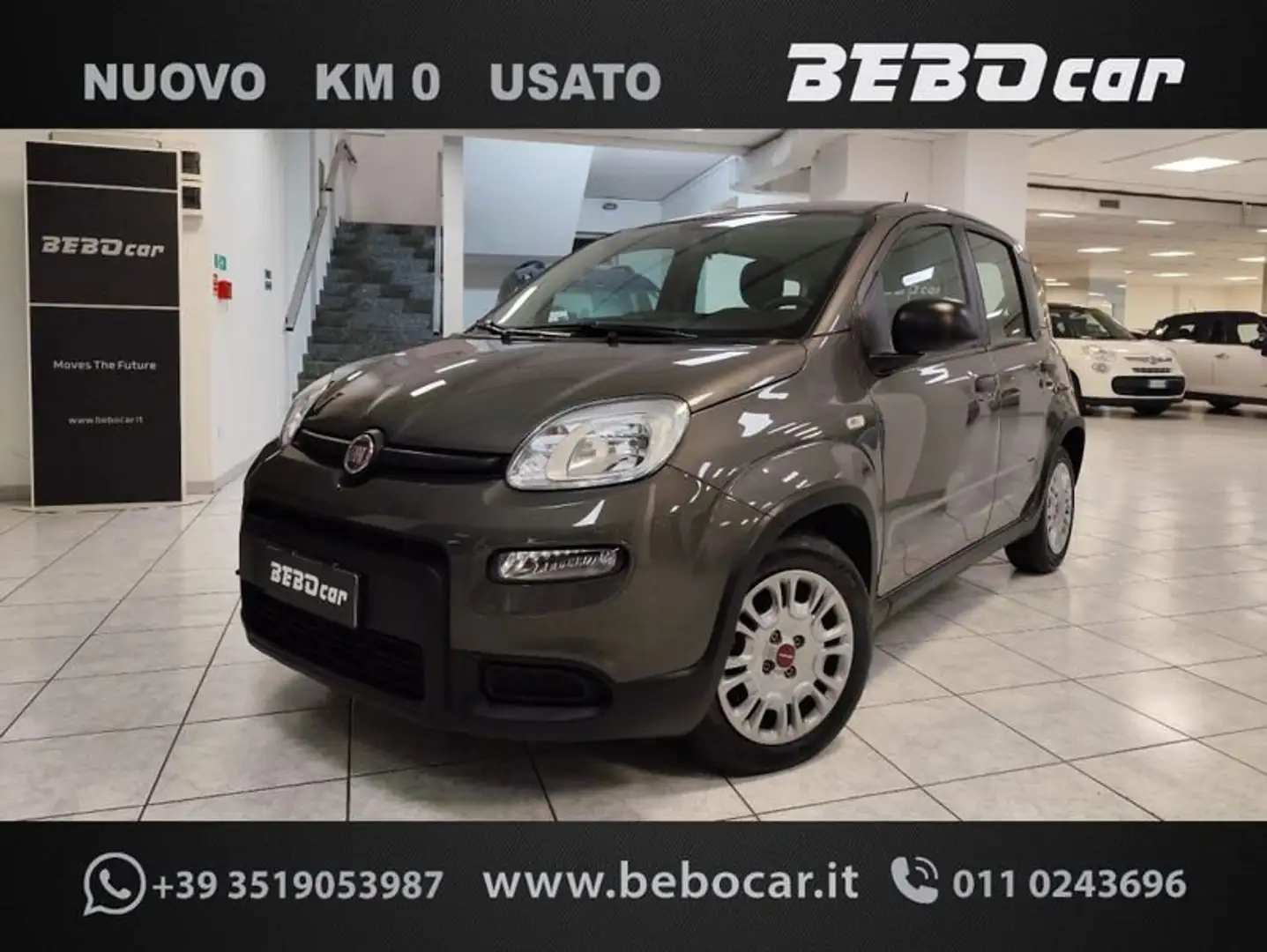 Fiat Panda 1.0 GSE HYBRID CITY LIFE Grau - 1