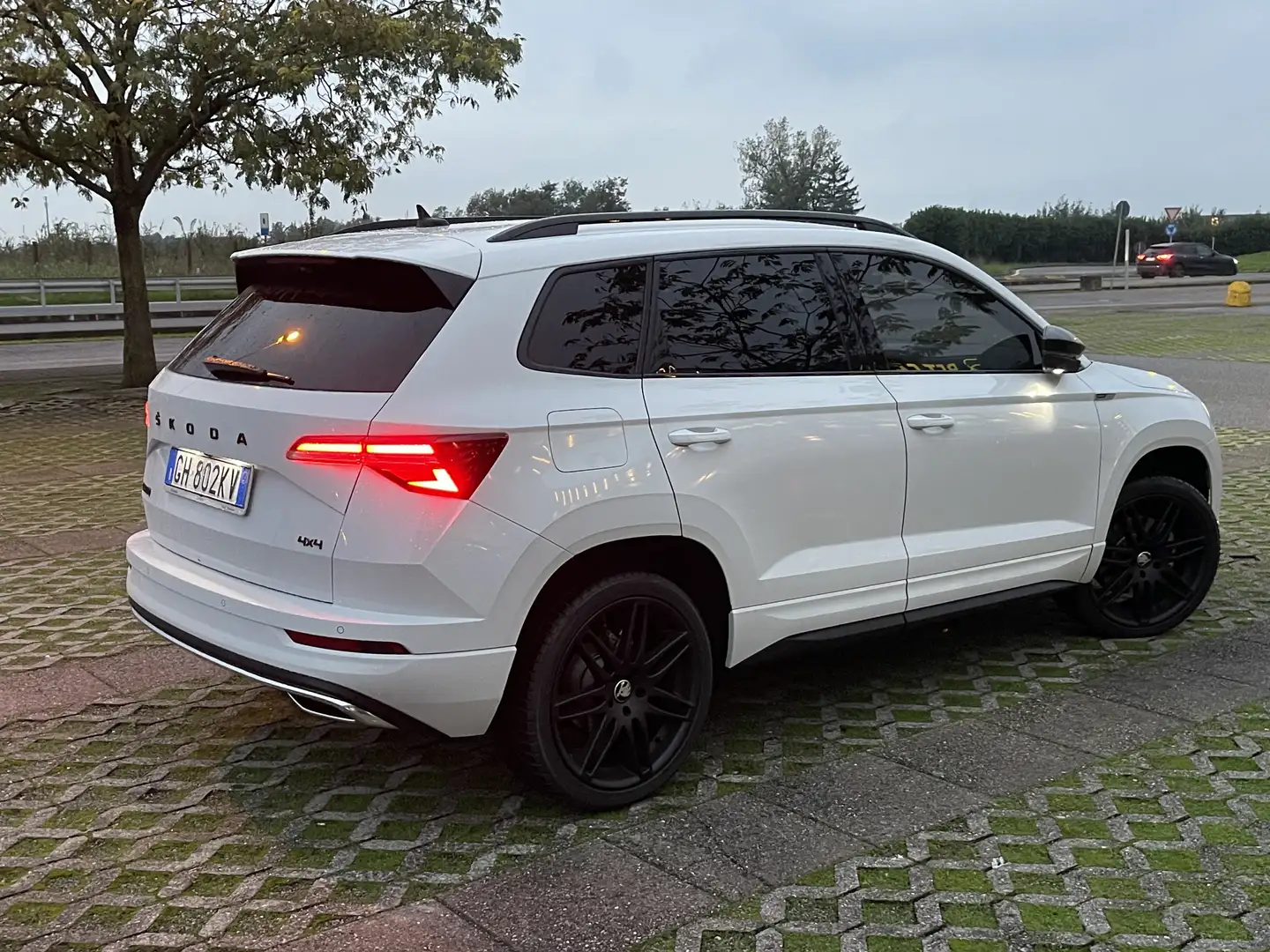 Skoda Karoq 2.0 tdi evo Sportline 115cv dsg - 1