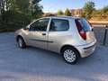Fiat Punto 3p 1.2 Classic gpl Oro - thumbnail 4
