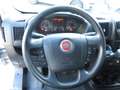 Fiat Ducato DOPPIA CABINA CASSONE CASSONATO Blanc - thumbnail 12