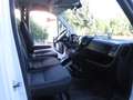 Fiat Ducato DOPPIA CABINA CASSONE CASSONATO Blanc - thumbnail 9