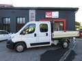 Fiat Ducato DOPPIA CABINA CASSONE CASSONATO Blanc - thumbnail 2
