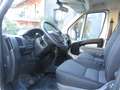 Fiat Ducato DOPPIA CABINA CASSONE CASSONATO Blanc - thumbnail 5