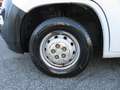 Fiat Ducato DOPPIA CABINA CASSONE CASSONATO Blanc - thumbnail 13