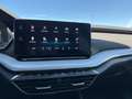 Skoda Octavia Combi 2,0 TDI Style 4x4 DSG | €47.800 Grau - thumbnail 19