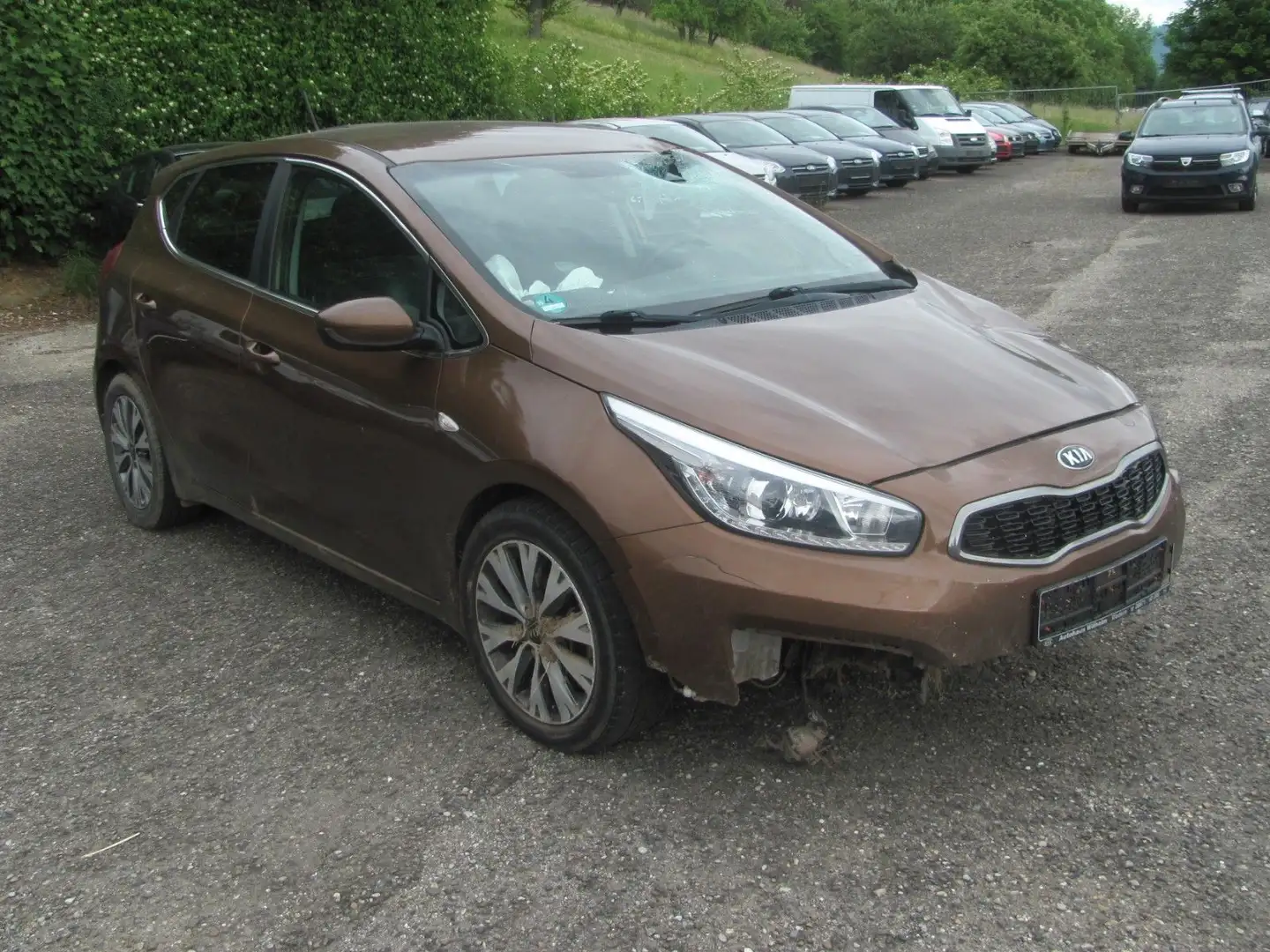 Kia Ceed / cee'd 1.6 CRDi Unfall Alu/Navi/Kamera/PTS/SHZ/Tempomat Bruin - 2