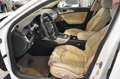 Audi A6 allroad quattro 3.0TDI LEDER NAV StHz TOP VIEW Blanc - thumbnail 7