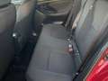 Toyota Yaris Yaris 1.5 Hybrid 5 porte Trend Rosso - thumbnail 16