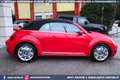Volkswagen Maggiolino Cabrio 1.2 TSI Design 18 PELLE Rouge - thumbnail 5