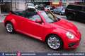 Volkswagen Maggiolino Cabrio 1.2 TSI Design 18 PELLE Rouge - thumbnail 8