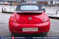 Volkswagen Maggiolino Cabrio 1.2 TSI Design 18 PELLE Rouge - thumbnail 6