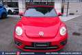 Volkswagen Maggiolino Cabrio 1.2 TSI Design 18 PELLE Rouge - thumbnail 4