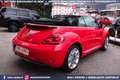 Volkswagen Maggiolino Cabrio 1.2 TSI Design 18 PELLE Rouge - thumbnail 36