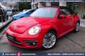 Volkswagen Maggiolino Cabrio 1.2 TSI Design 18 PELLE Rouge - thumbnail 2