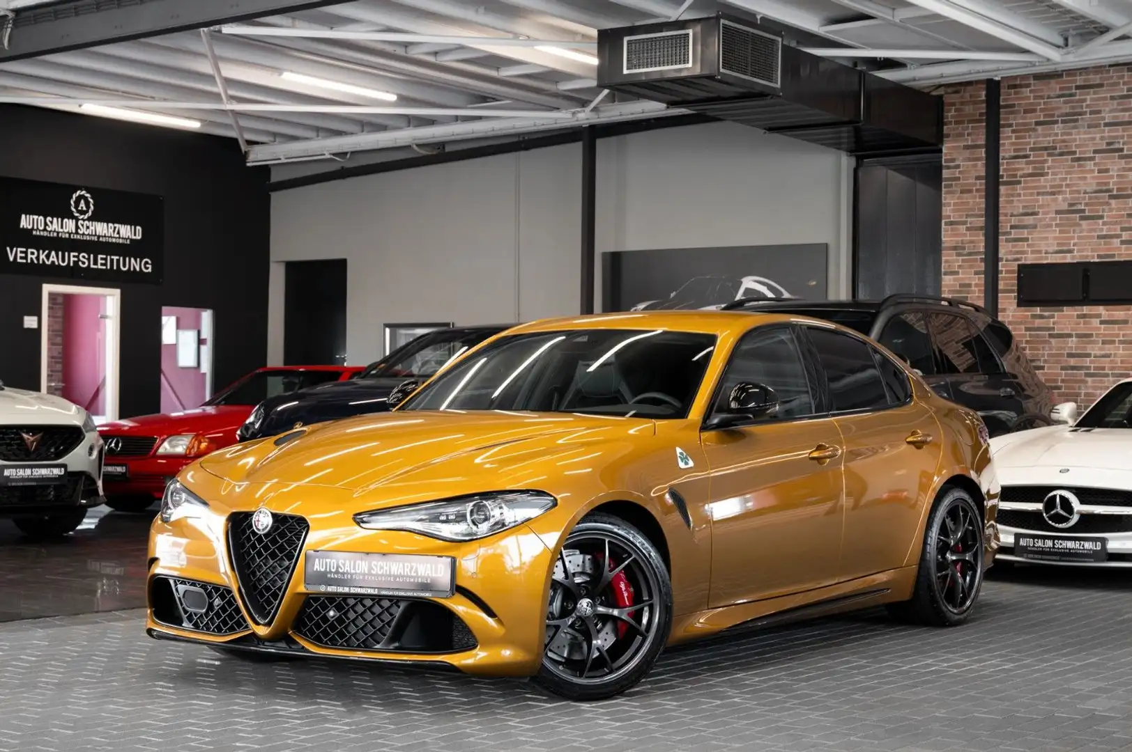 Alfa Romeo Giulia Quadrifoglio|SCHALENSITZE|CARBON|H&K|ACC Goud - 1