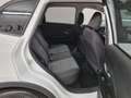MG ZS 1.5 Standard Weiß - thumbnail 23