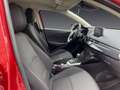 Mazda 2 1.5 Skyactiv-G 90 Exclusive-Line *Automatik* Rojo - thumbnail 11