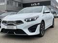 Kia Ceed SW / cee'd SW Ceed SW 1.6 PlugInHybrid Spirit wenig KM*Lordosen Blanc - thumbnail 3