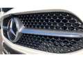 Mercedes-Benz B 250 e Blanc - thumbnail 20