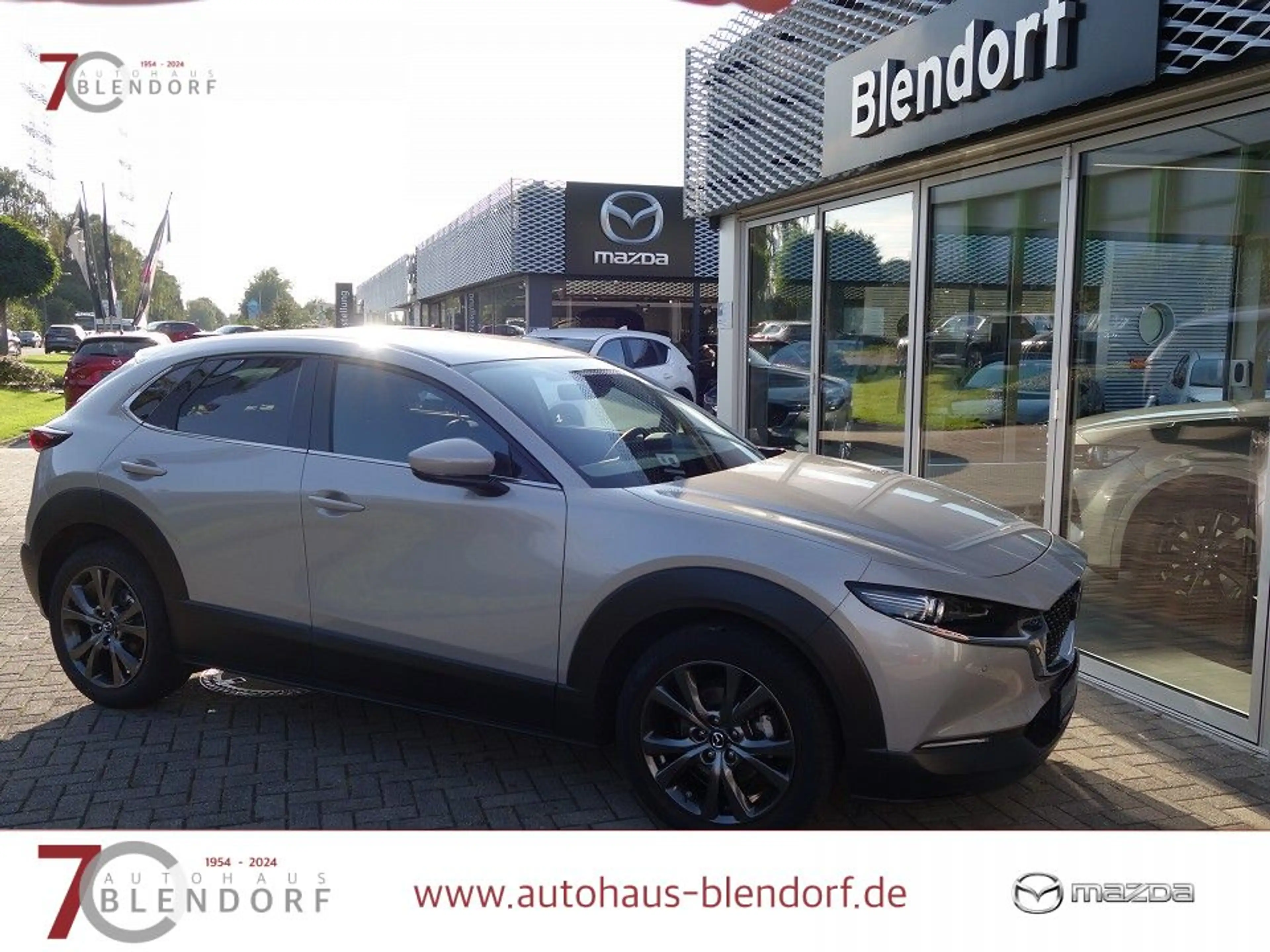Mazda CX-30 Exclusive-Line X 186 Automatik|Matrix-LED|360° — photo 5