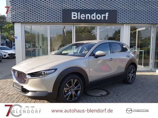 Mazda CX-30 Exclusive Line X 186 Automatik|Matrix LED|360°