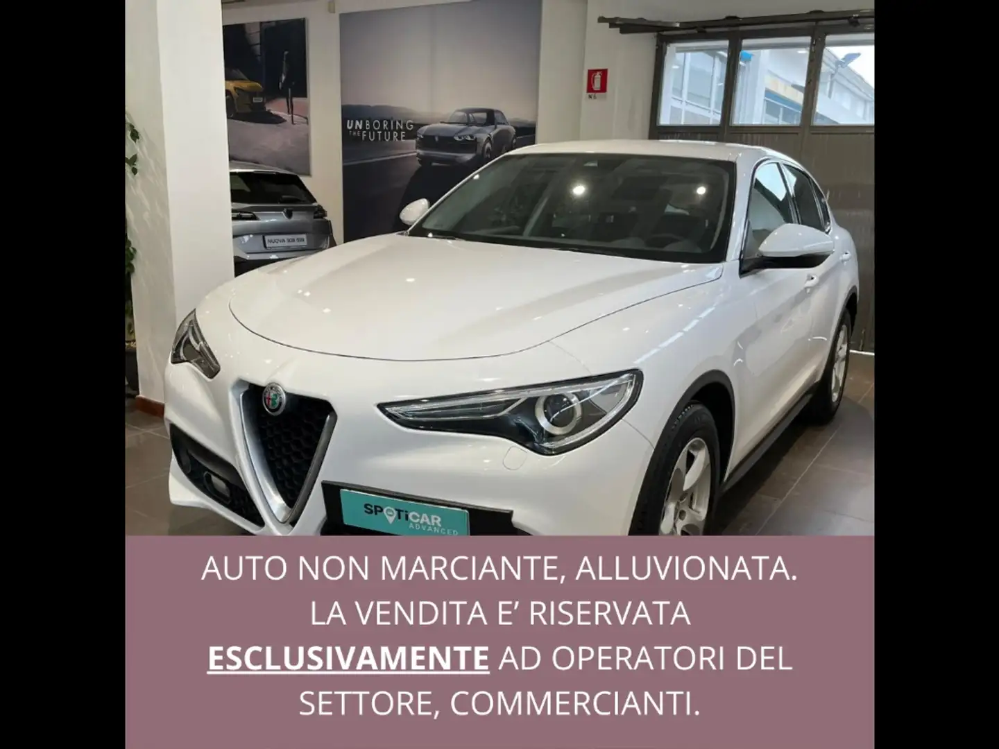 Alfa Romeo Stelvio 2.2 Turbodiesel 180 CV AT8 RWD Business Blanc - 1
