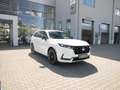 Honda CR-V 2.0 e:PHEV ADVANCE TECH 2WD LEDER+PANORAMAD Weiß - thumbnail 5