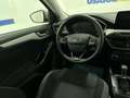 Ford Focus SW 1.5 ecoblue Business s&s 120cv my20.75 Argento - thumbnail 12