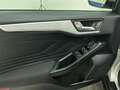 Ford Focus SW 1.5 ecoblue Business s&s 120cv my20.75 Argento - thumbnail 8