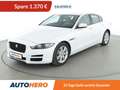 Jaguar XE 20t Pure Aut.*NAVI*TEMPO*CAM*PDC*KLIMA*GARANTIE* Weiß - thumbnail 1