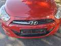 Hyundai i10 i10 1,1 Life Life Rot - thumbnail 20