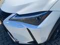 Lexus UX 250h 2.0 Hybrid Style Edition Velours Weiß - thumbnail 14