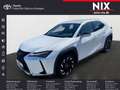 Lexus UX 250h 2.0 Hybrid Style Edition Velours Weiß - thumbnail 1