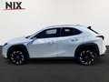 Lexus UX 250h 2.0 Hybrid Style Edition Velours Weiß - thumbnail 3