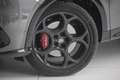 Alfa Romeo Tonale 1.6 Multijet DCT TI Grau - thumbnail 4