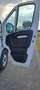 Fiat Ducato 33 2.3 MJT 120CV PLM-TM Bianco - thumbnail 14