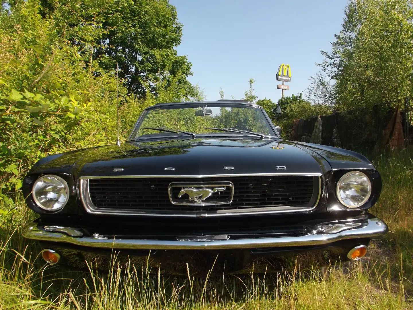 Ford Mustang Cabriolet-super gut und super günstig !! Schwarz - 2