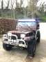 Jeep Wrangler Wrangler Laredo 4.0 Brun - thumbnail 9
