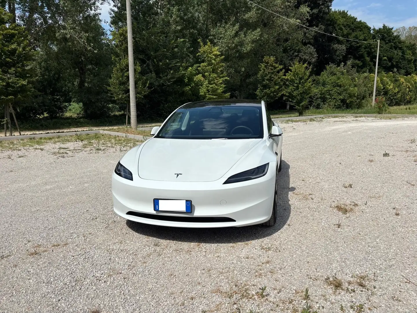 Tesla Model 3 Model 3 Standard rwd Plus Bianco - 2