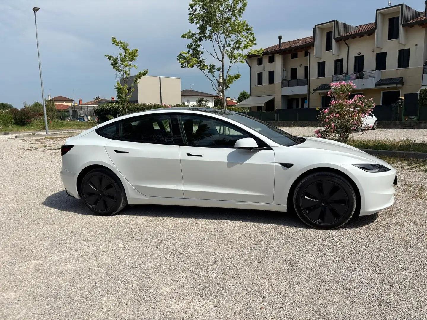 Tesla Model 3 Model 3 Standard rwd Plus Bianco - 1